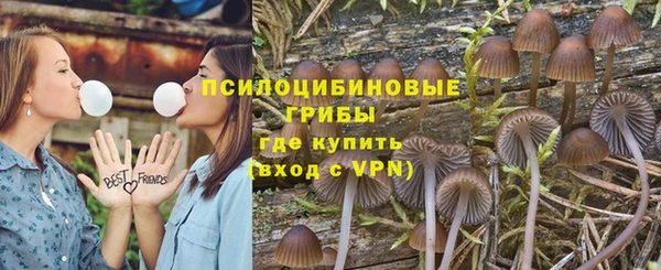 винт Михайлов
